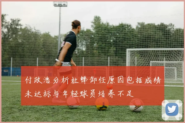 付政浩分析杜锋卸任原因包括成绩未达标与年轻球员培养不足